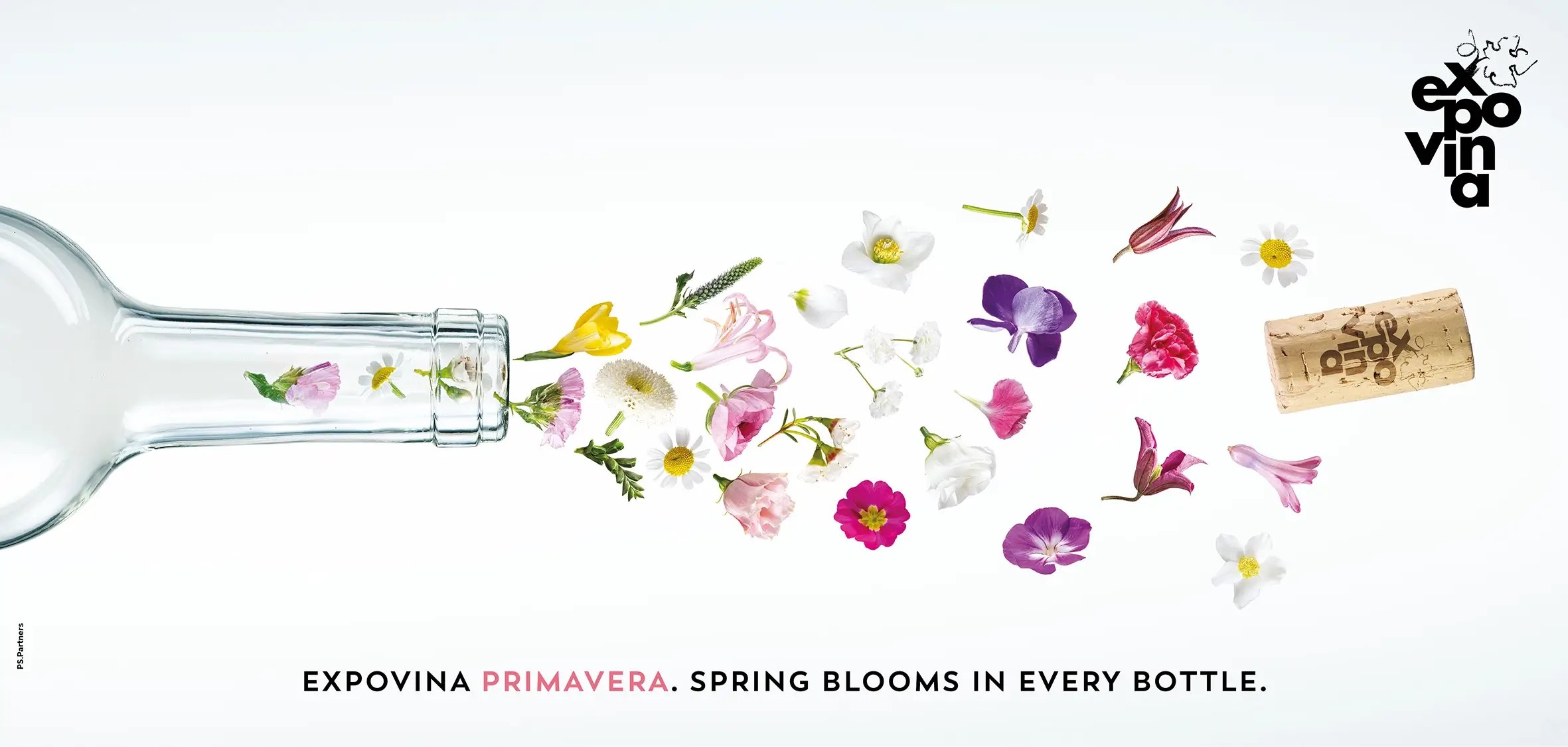 Expovina-Primavera-Frühlings-Weinmesse-Branding